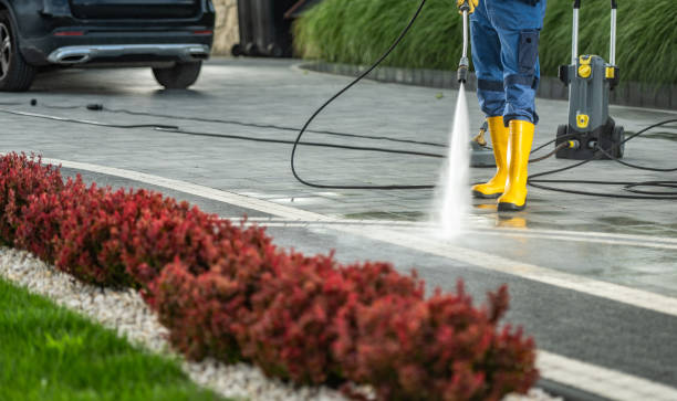 Trusted Wilton, IA Pressure Washing Services Experts
